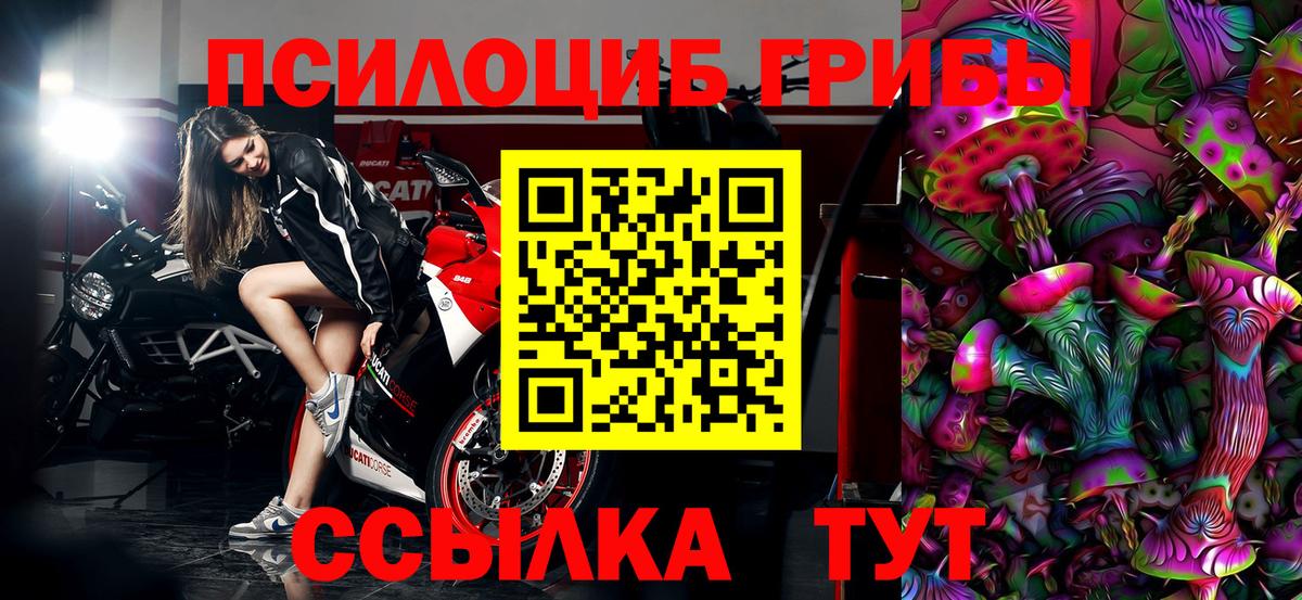Псилоцибиновые грибы Psilocybine cubensis  Вход с VPN  Псков 