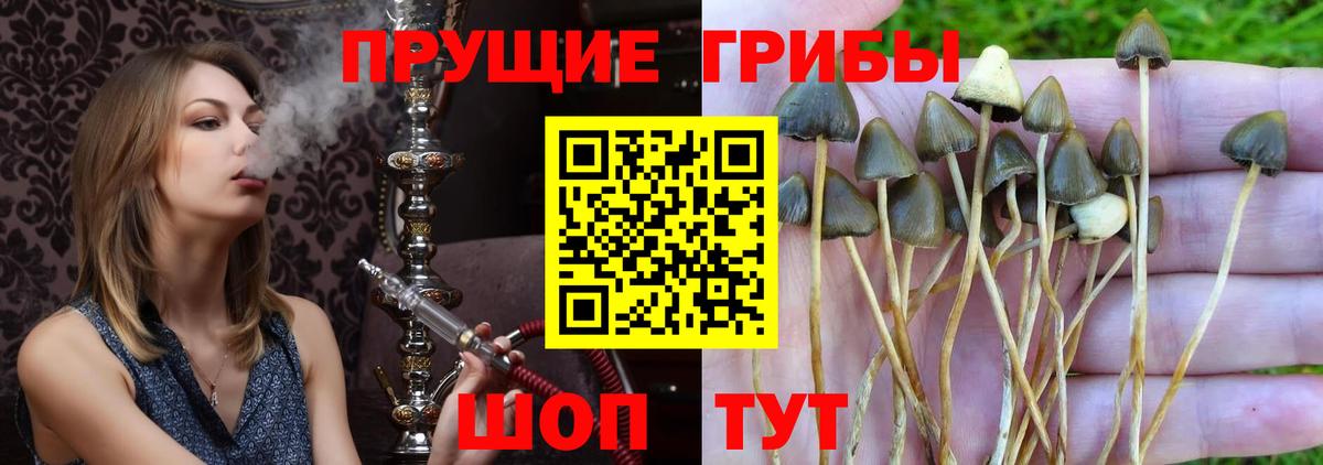 Галлюциногенные грибы мухоморы Псков