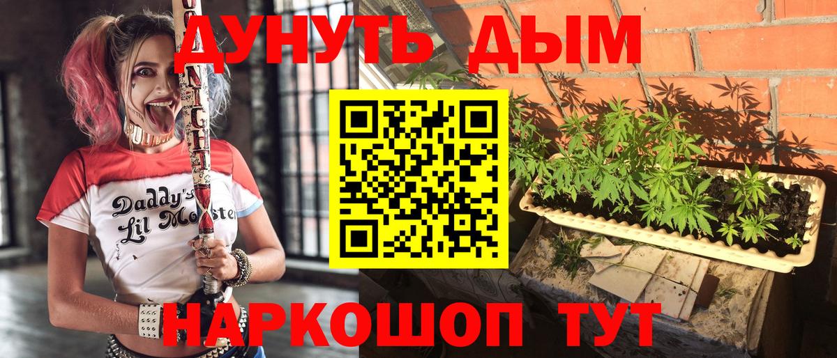 Каннабис сатива Псков